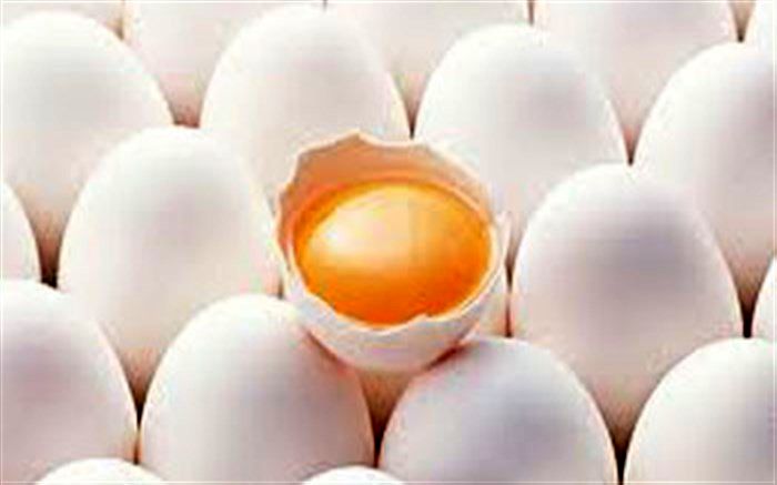 ۱۳۷۰تن تخم مرغ در مرغداری های شهرستان قزوین تولید شد
