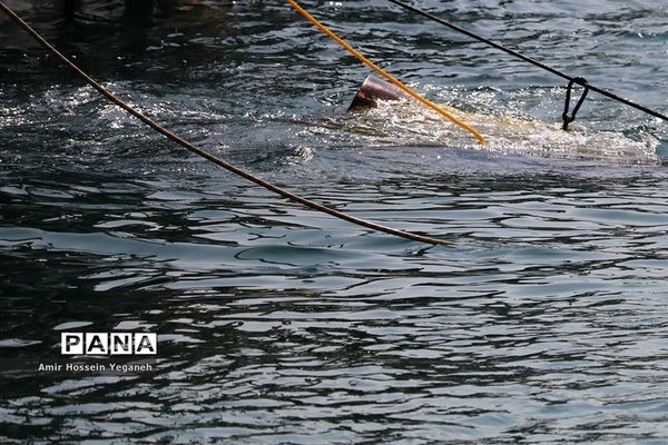 سومین روز مسابقات عمق غواصی نیروهای مسلح جهان در کیش