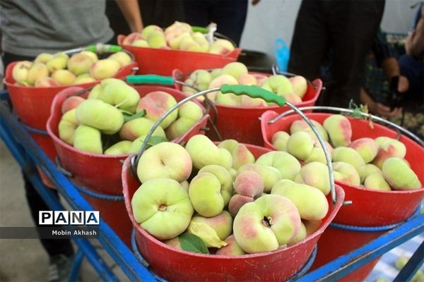 دومین جشنواره هلو شهرستان شبستر، شهر شندآباد