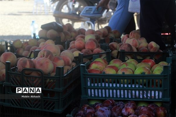 دومین جشنواره هلو شهرستان شبستر، شهر شندآباد