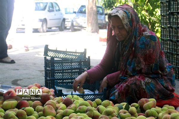 دومین جشنواره هلو شهرستان شبستر، شهر شندآباد