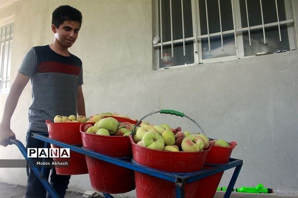 دومین جشنواره هلو شهرستان شبستر، شهر شندآباد