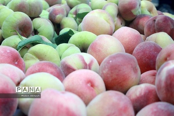 دومین جشنواره هلو شهرستان شبستر، شهر شندآباد