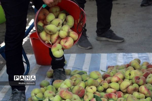 دومین جشنواره هلو شهرستان شبستر، شهر شندآباد