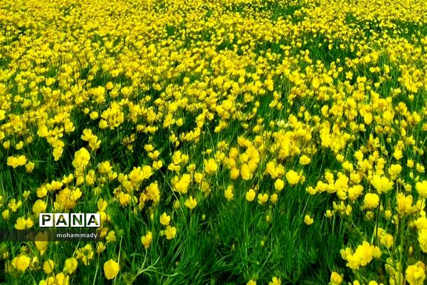 دریاچه زیبای نئور - اردبیل