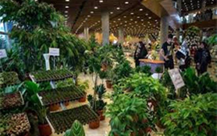 برای نخستین بار نمایشگاه گل و گیاه و گیاهان دارویی در ایلام برگزار می شود
