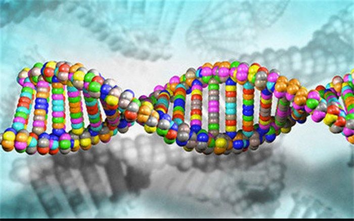 ابزار جدیدی برای اصلاح جهش‌های ژنتیکی