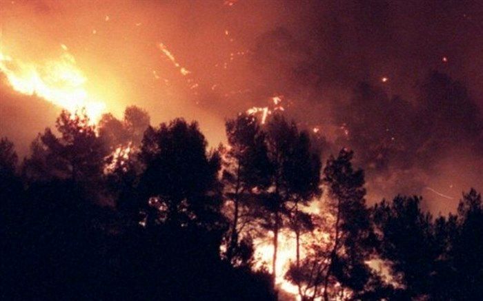 چطور از آتش‌سوزی در طبیعت جلوگیری کنیم؟/ اینفوگرافیک