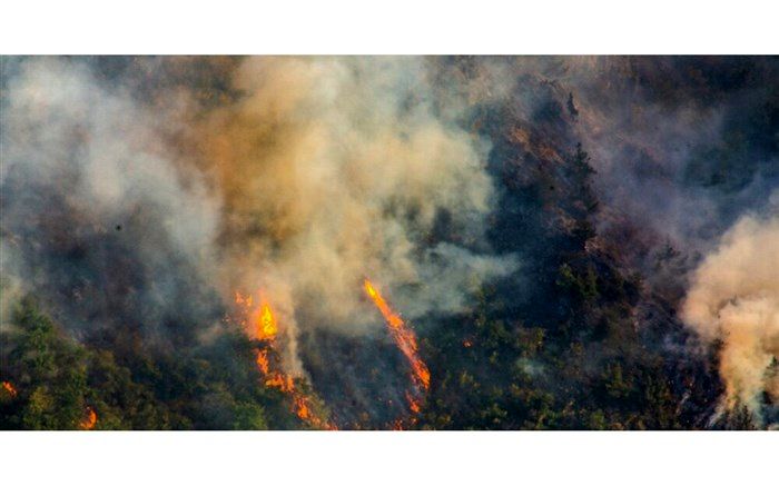 ورود مدعی‎ العموم به آتش سوزی جنگل‌های ارسباران