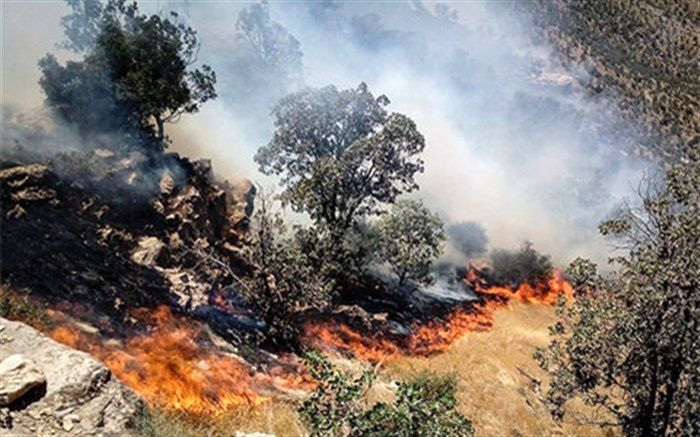 مراتع گچساران در آتش می سوزد