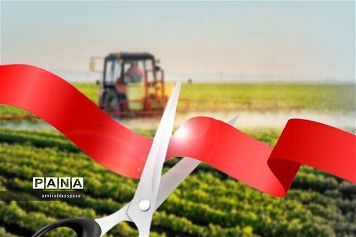 مدیر جهاد کشاورزی شهرستان درمیان : بهرهبرداری از پروژه های کشاورزی درمیان و بهره مندی 118 خانواری
