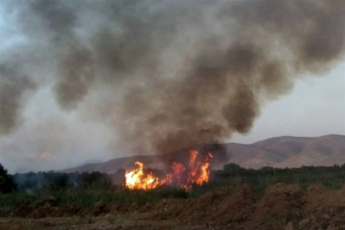 یک هکتار از تالاب نوروزلوی میاندوآب در آتش سوخت