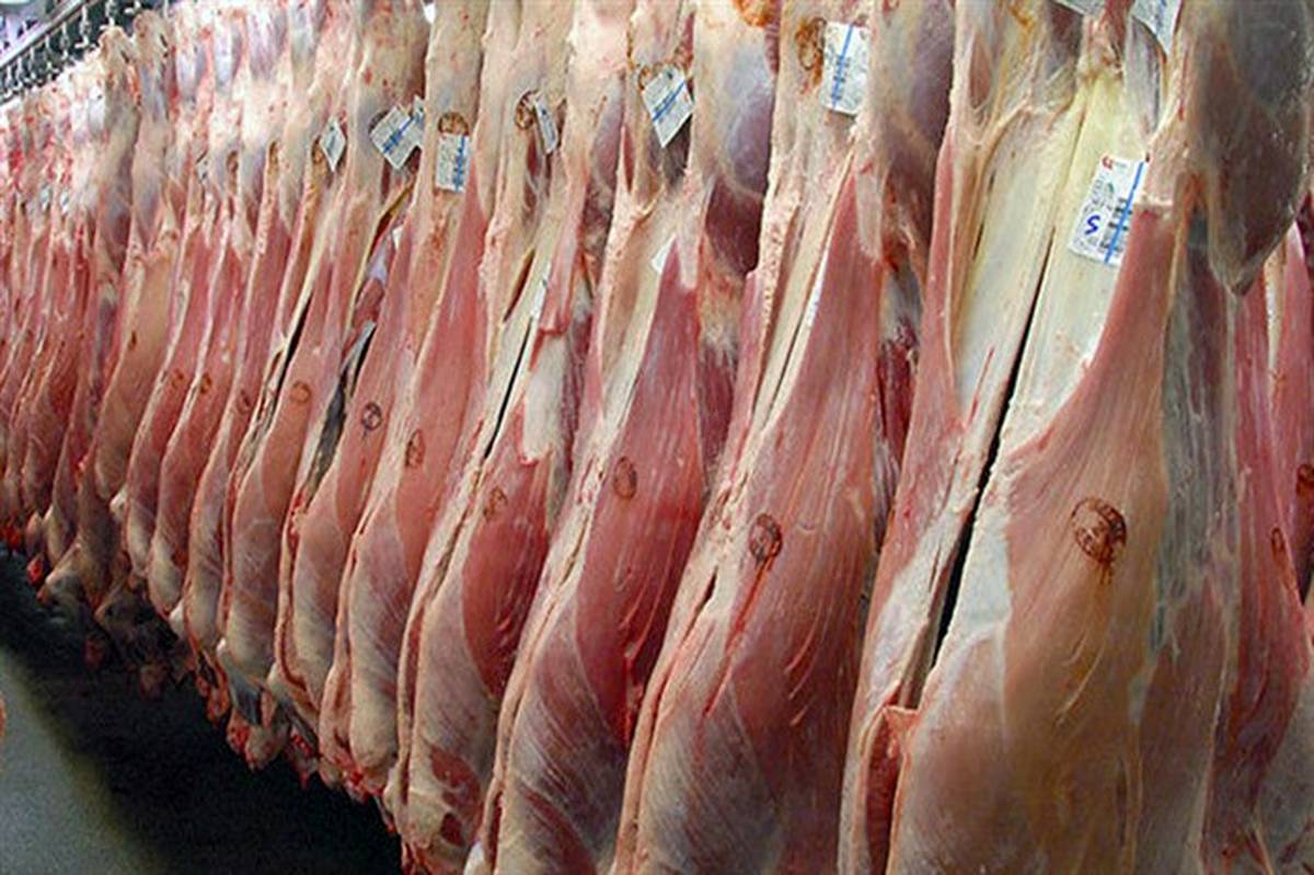 ۱۸۵ تن گوشت قرمز در ماکو تولید شد