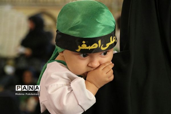 همایش شیرخوارگان حسینی در مصلی ساری
