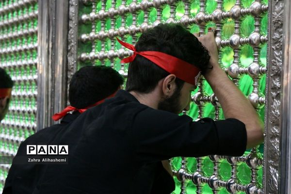 برگزاری مراسم احلی من العسل در شهر تهران
