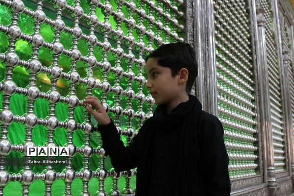 برگزاری مراسم احلی من العسل در شهر تهران
