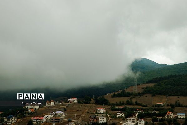 مسیر سبز