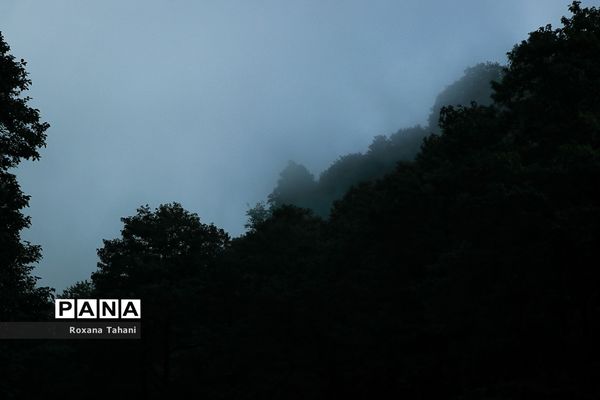 مسیر سبز