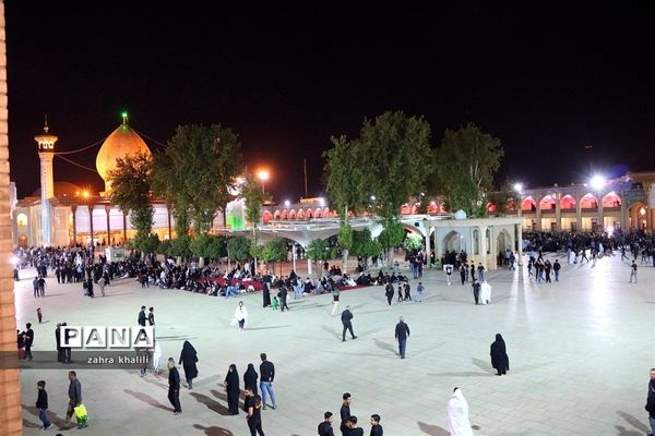 عزاداران حسینی در شیراز