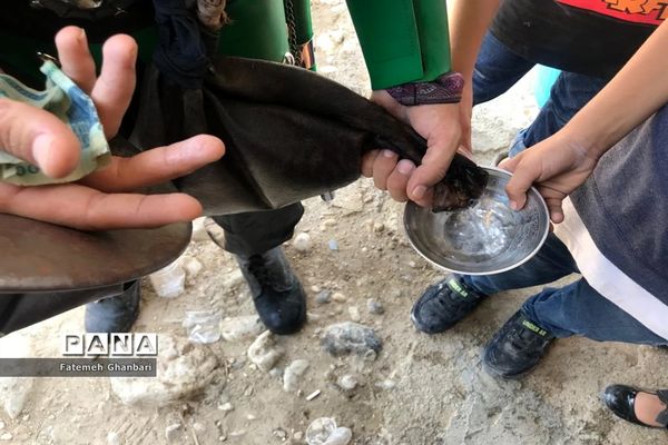 آیین عزاداری حسینی در شهرستان باغملک