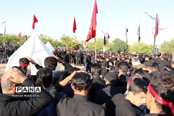 خیمه ها سوخته، علم بی علمدار و نینوا خونین شد