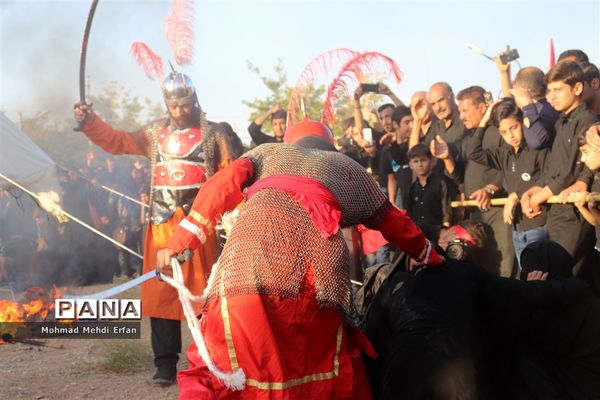 خیمه ها سوخته، علم بی علمدار و نینوا خونین شد