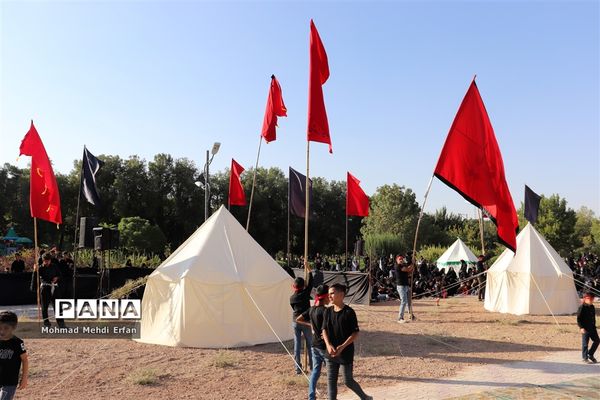 خیمه ها سوخته، علم بی علمدار و نینوا خونین شد