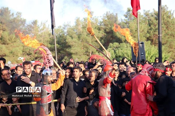 خیمه ها سوخته، علم بی علمدار و نینوا خونین شد