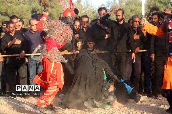 خیمه ها سوخته، علم بی علمدار و نینوا خونین شد