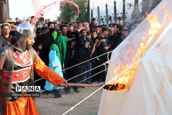 خیمه ها سوخته، علم بی علمدار و نینوا خونین شد