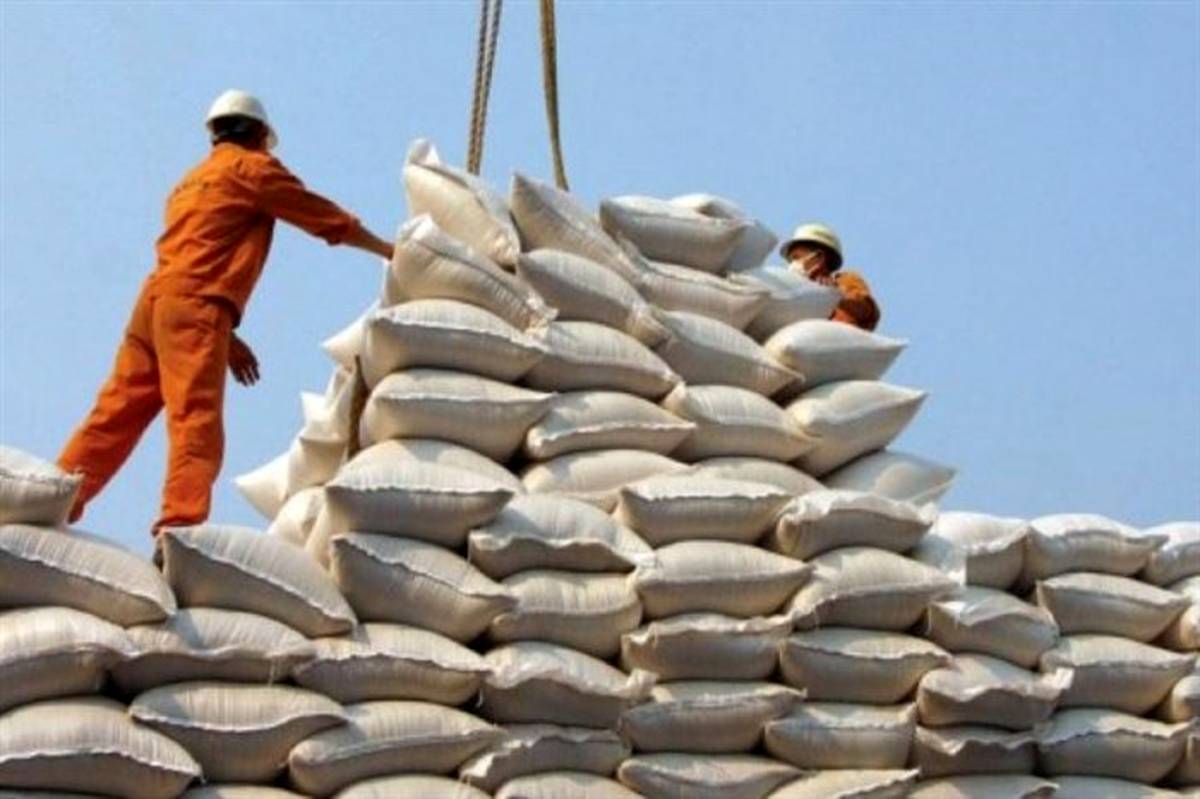 قبادی:‌  توزیع برنج وارداتی تا پایان فصل برداشت ممنوع است