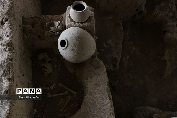 سایت موزه گوهرتپه