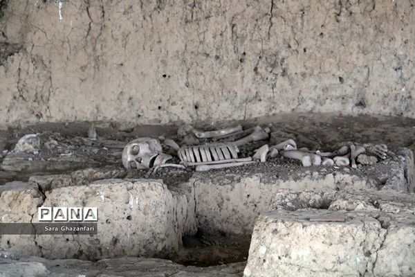 سایت موزه گوهرتپه