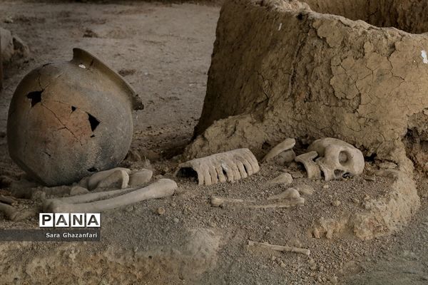 سایت موزه گوهرتپه
