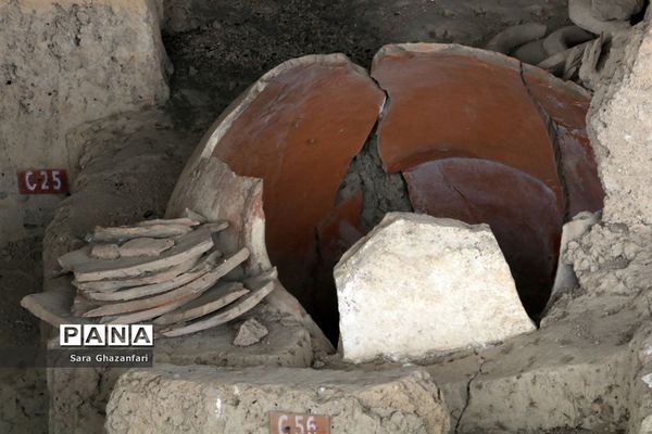 سایت موزه گوهرتپه