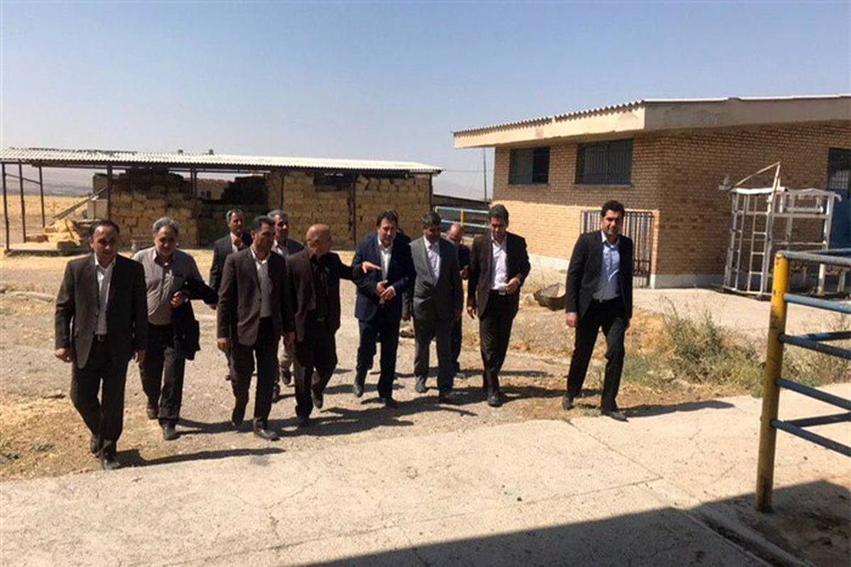 معاون وزیر آموزش و پرورش از هنرستان کشاورزی شهید با هنر زنجان بازدید کرد