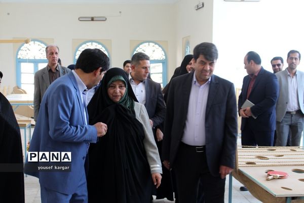 بازدید معاون رئیس جمهوری از پارک کلینیک باغچه ذهن