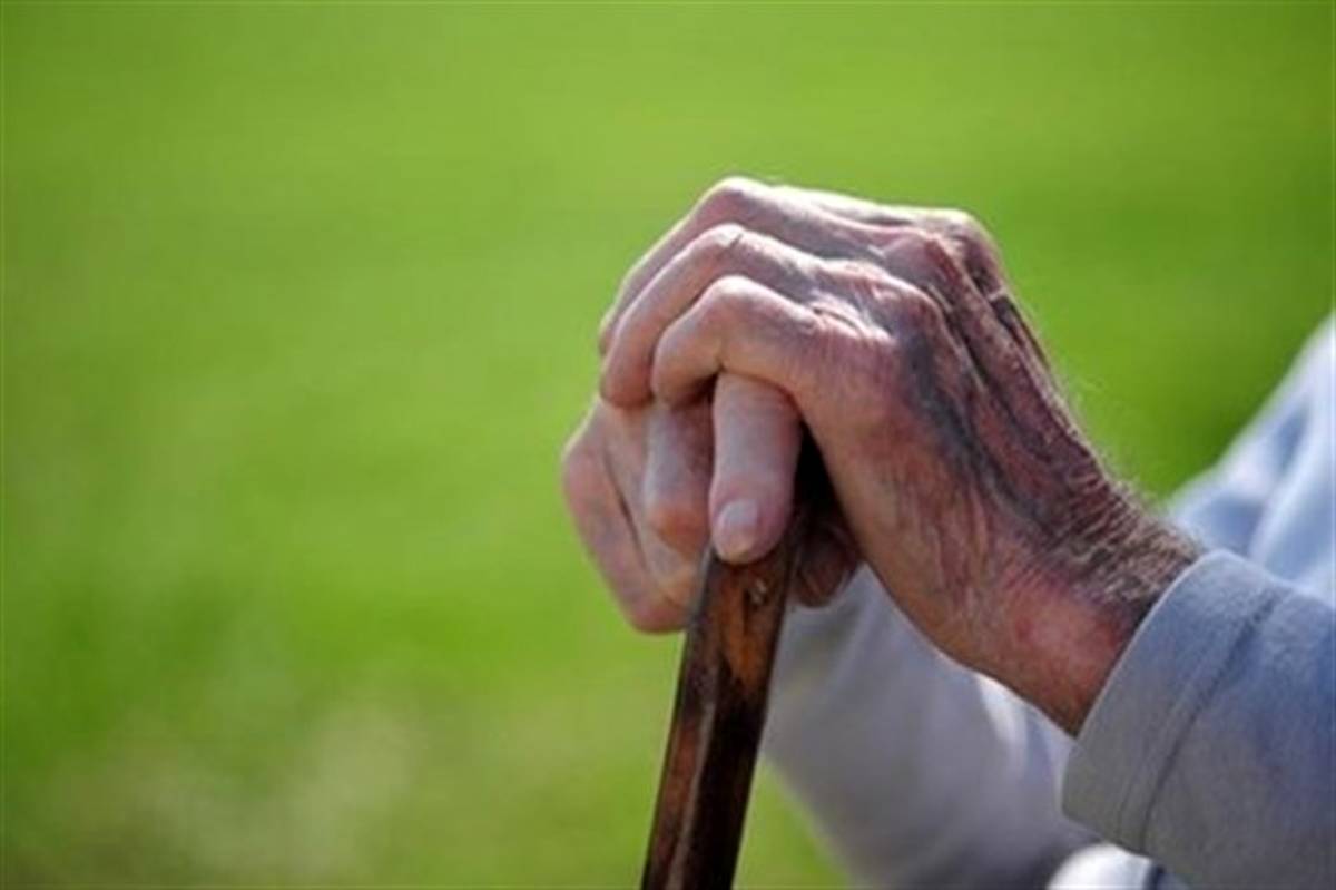 جوادی، پژوهشگر مسائل اجتماعی: زنان سالمند بدون‌همسر آسیب‌پذیرترین سالمندان‌‌‌اند