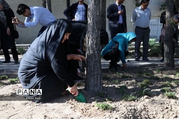 کاشت جمعی گل و گیاه در فضای سبز محلات توسط اعضای باشگاه سالمندان گنجینگان