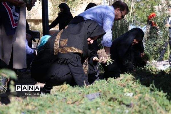 کاشت جمعی گل و گیاه در فضای سبز محلات توسط اعضای باشگاه سالمندان گنجینگان