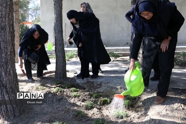 کاشت جمعی گل و گیاه در فضای سبز محلات توسط اعضای باشگاه سالمندان گنجینگان