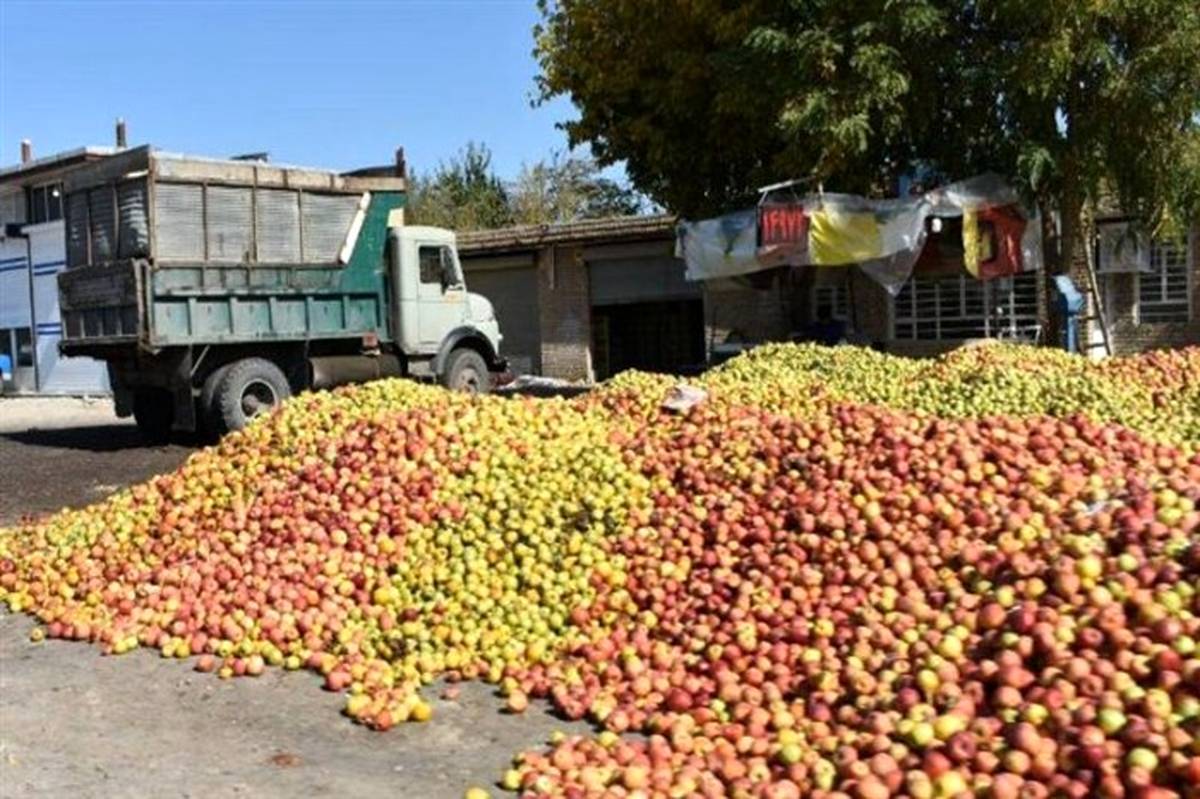 هر کیلو سیب صنعتی به قیمت حداقل ۶۰۰ تومان خریداری می‌شود