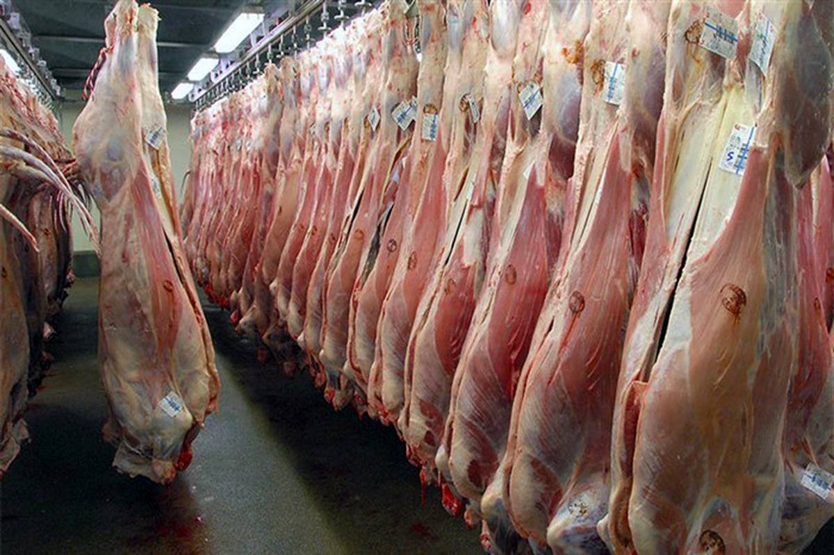 کاهش تقاضا و افت قیمت گوشت گوسفندی