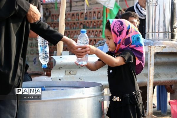 خدمت رسانی به زائران کربلا