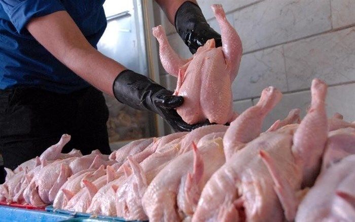 طرح ارتقاء کیفیت گوشت مرغ در آذربایجان شرقی