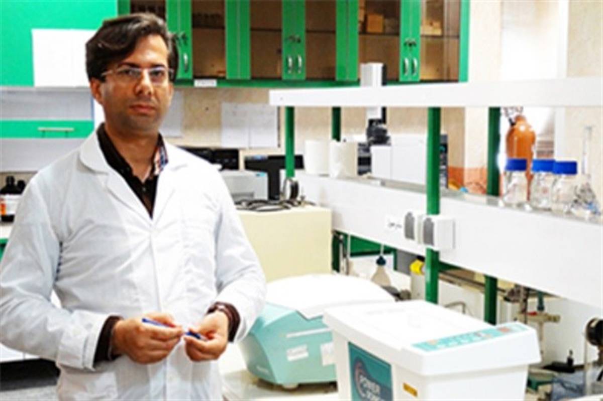 مدیر آزمایشگاه کنترل مواد غذایی معاونت غذا و دارو بوشهر: قرص برنج، نابودگری دردناک است