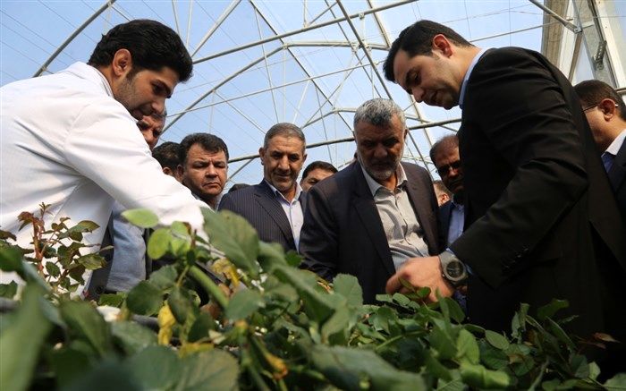 وزیر جهاد کشاورزی: سطح گلخانه های کشور تا پایان سال به ۲۰ هزار هکتار افزایش می یابد