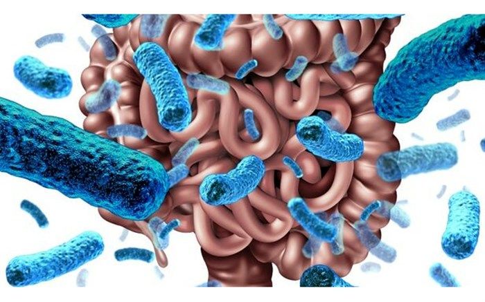 از هر ۱۰۰ هزار ایرانی ۴۵ نفر دچار التهاب روده هستند