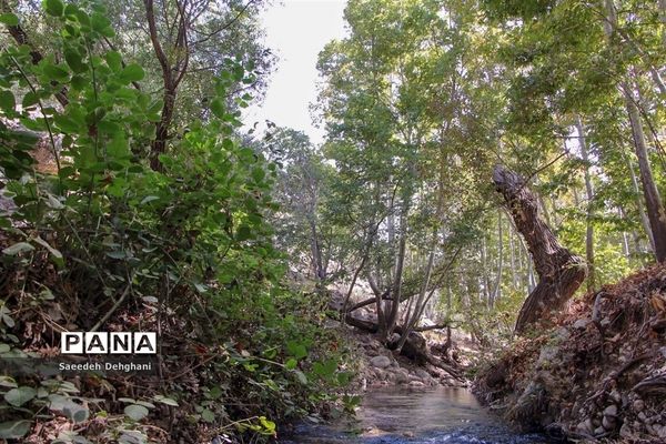 طبیعت زیبای تنگه غوره دان