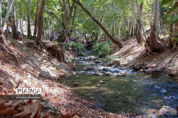 طبیعت زیبای تنگه غوره دان